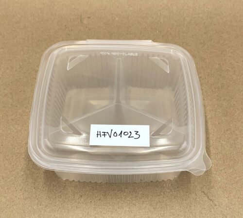 HFV01023