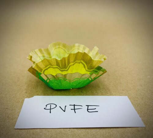 PVFE