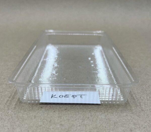 KOEPT-2