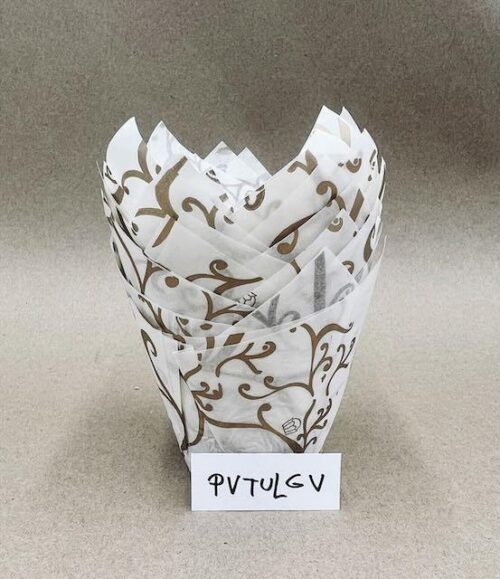 PVTULGV-2