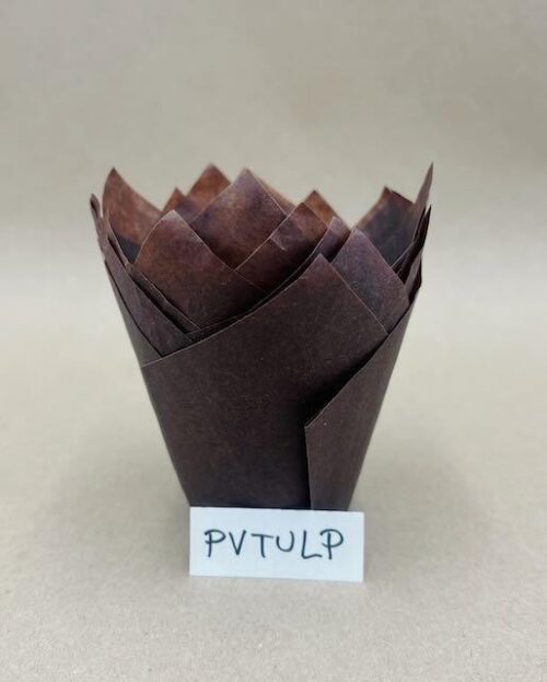 PVTULP-4