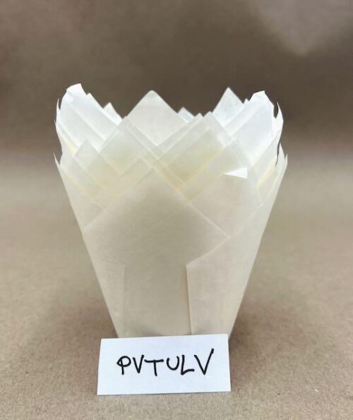 PVTULV