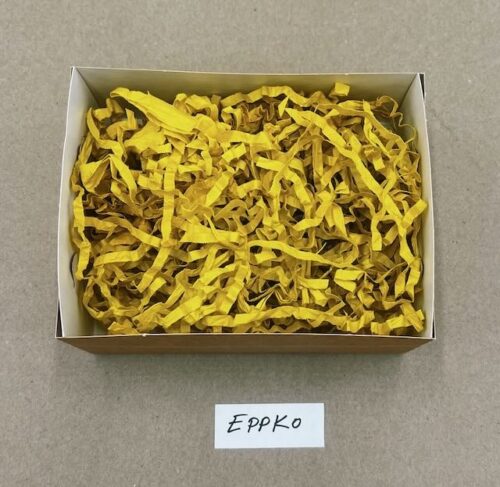 EPPKO
