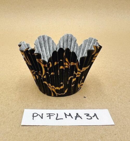 PVFLMA31