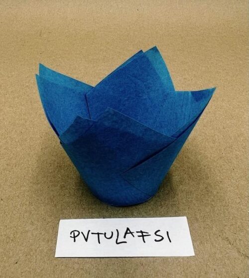 PVTULAFSI