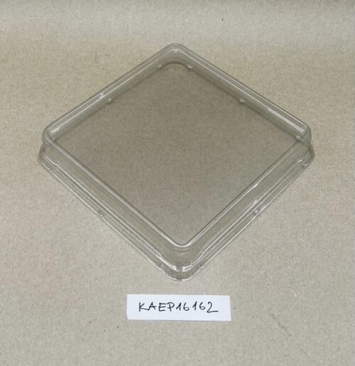 KAEP16162