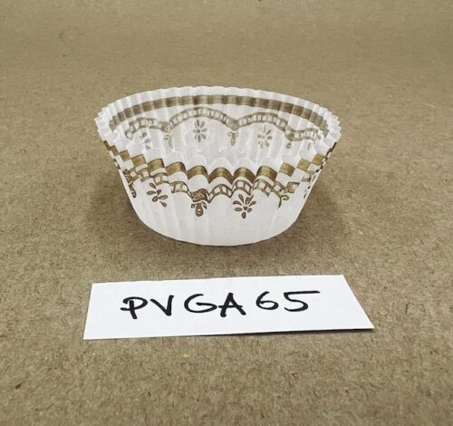 PVGA65
