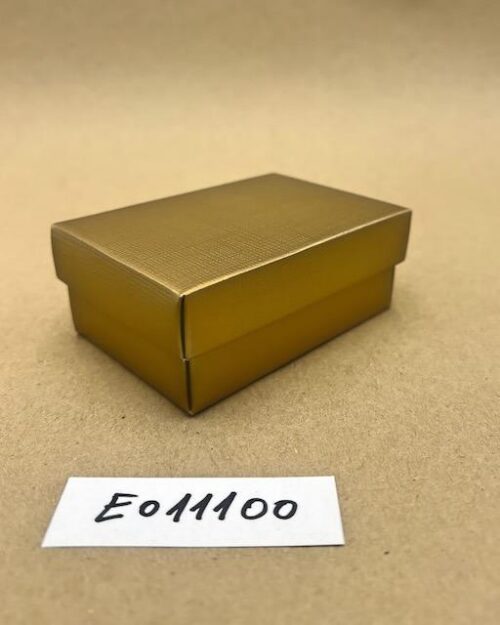 E011100