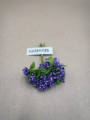 ED570294