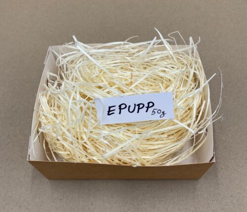 EPUPP-2-2