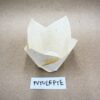 PVTULEPTE-1