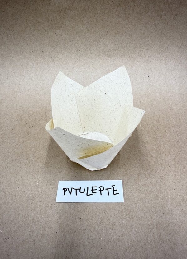 PVTULEPTE-1