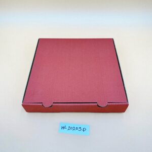 ML20203P-3