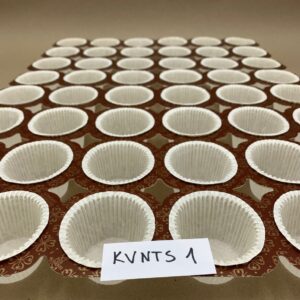 KVNTS1-2