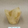 PVTULEPBE-1