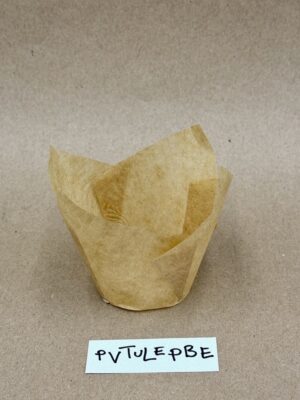 PVTULEPBE-1