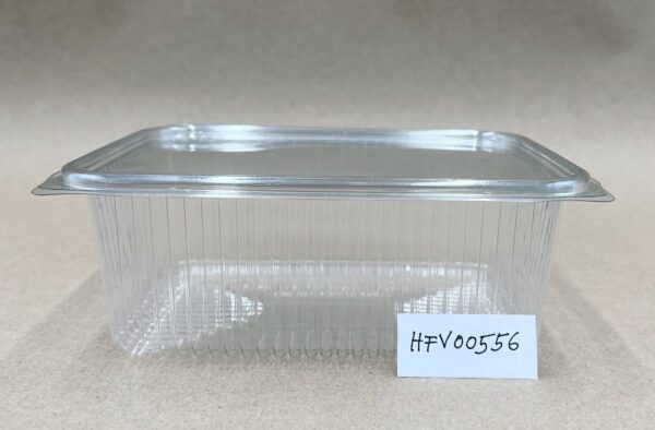 HFV00556