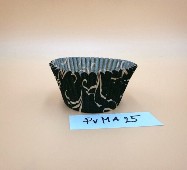 PVMA25-1