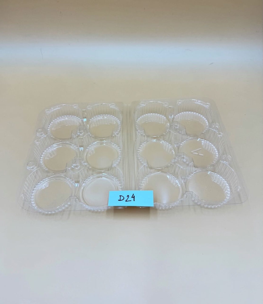 D24-2