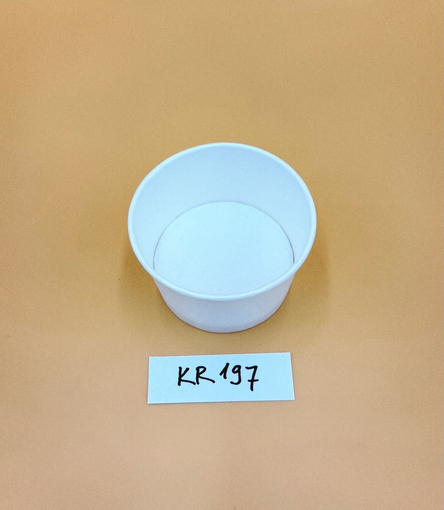 KR197-1