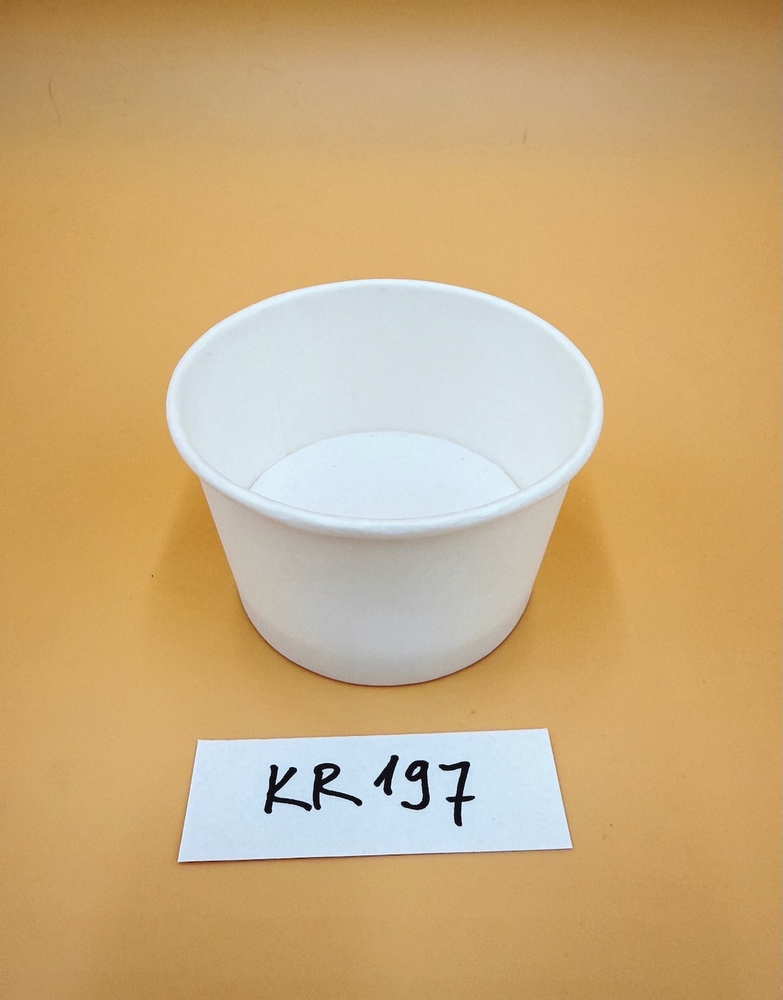 KR197