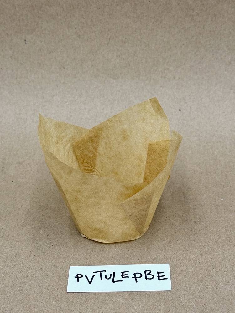 PVTULEPBE